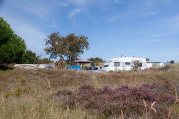 Terreinen aan zee