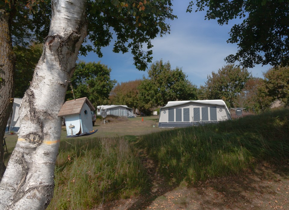 Camping De Ooster Nollen — Photo 6 of 12