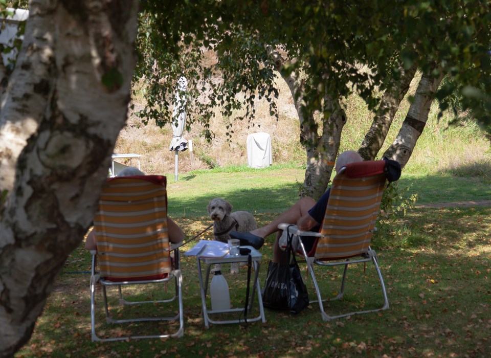 Camping De Ooster Nollen — Photo 10 of 12