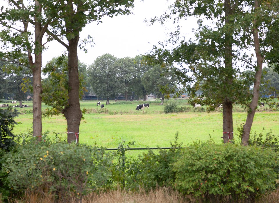 NCC Terrein De Rolle — Photo 9 of 12