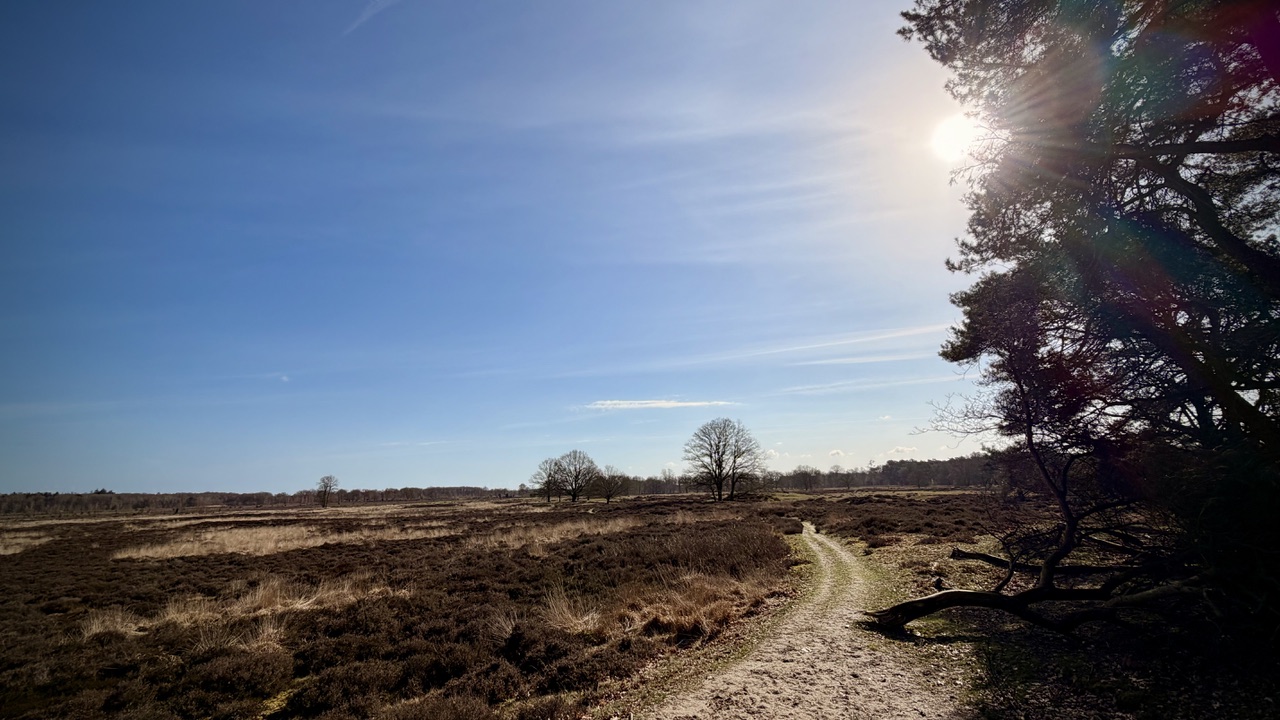 Wie hoor ik daar…? 👂🌿