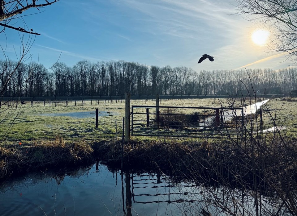 Alphen aan den Rijn - Oudshoorn — Photo 6 of 12
