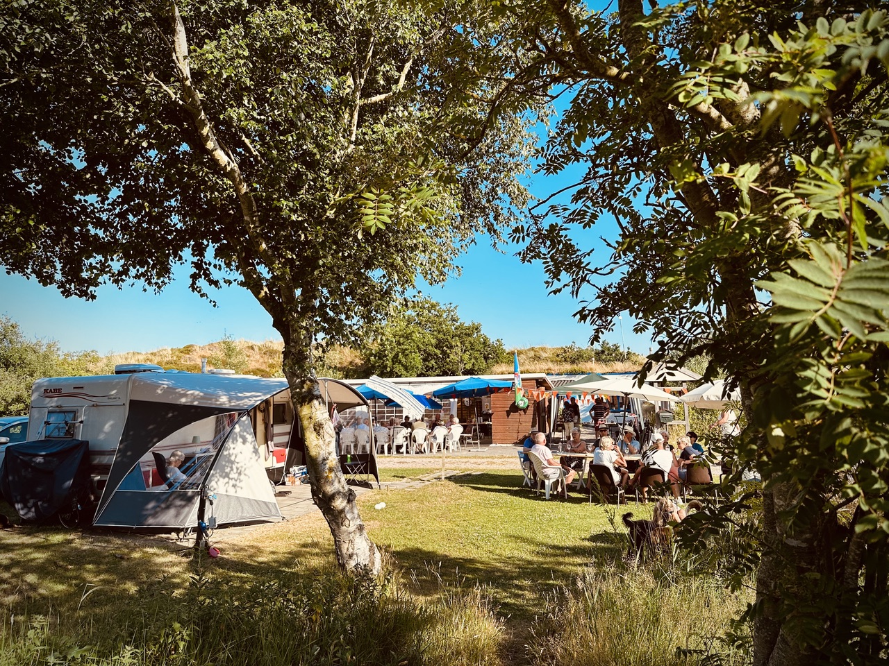 Esther van Gaalen (56)